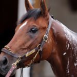 ΙΠΠΟΔΡΟΜΟΣ ΚΥΠΡΟΣ / IPPODROMOS KYPROS