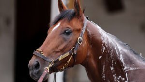 ΙΠΠΟΔΡΟΜΟΣ ΚΥΠΡΟΣ / IPPODROMOS KYPROS