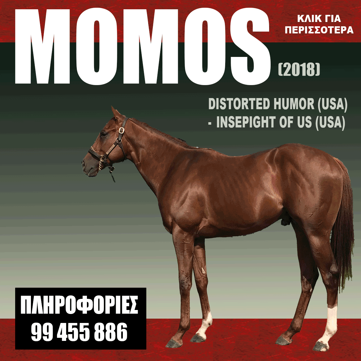 ΙΠΠΟΔΡΟΜΟΣ ΚΥΠΡΟΣ / IPPODROMOS KYPROS