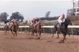 ΙΠΠΟΔΡΟΜΟΣ ΚΥΠΡΟΣ / IPPODROMOS KYPROS