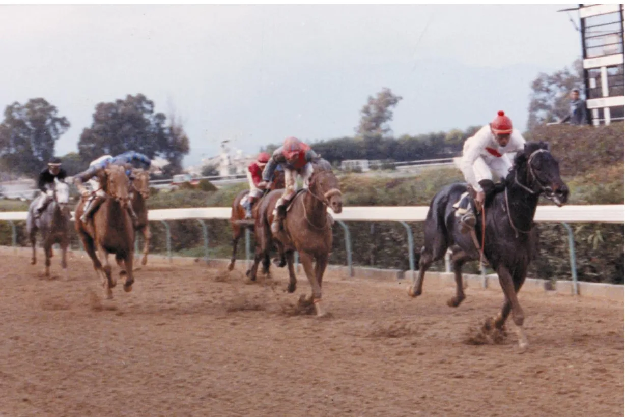 ΙΠΠΟΔΡΟΜΟΣ ΚΥΠΡΟΣ / IPPODROMOS KYPROS