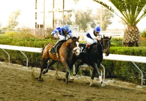 ΙΠΠΟΔΡΟΜΟΣ ΚΥΠΡΟΣ / IPPODROMOS KYPROS