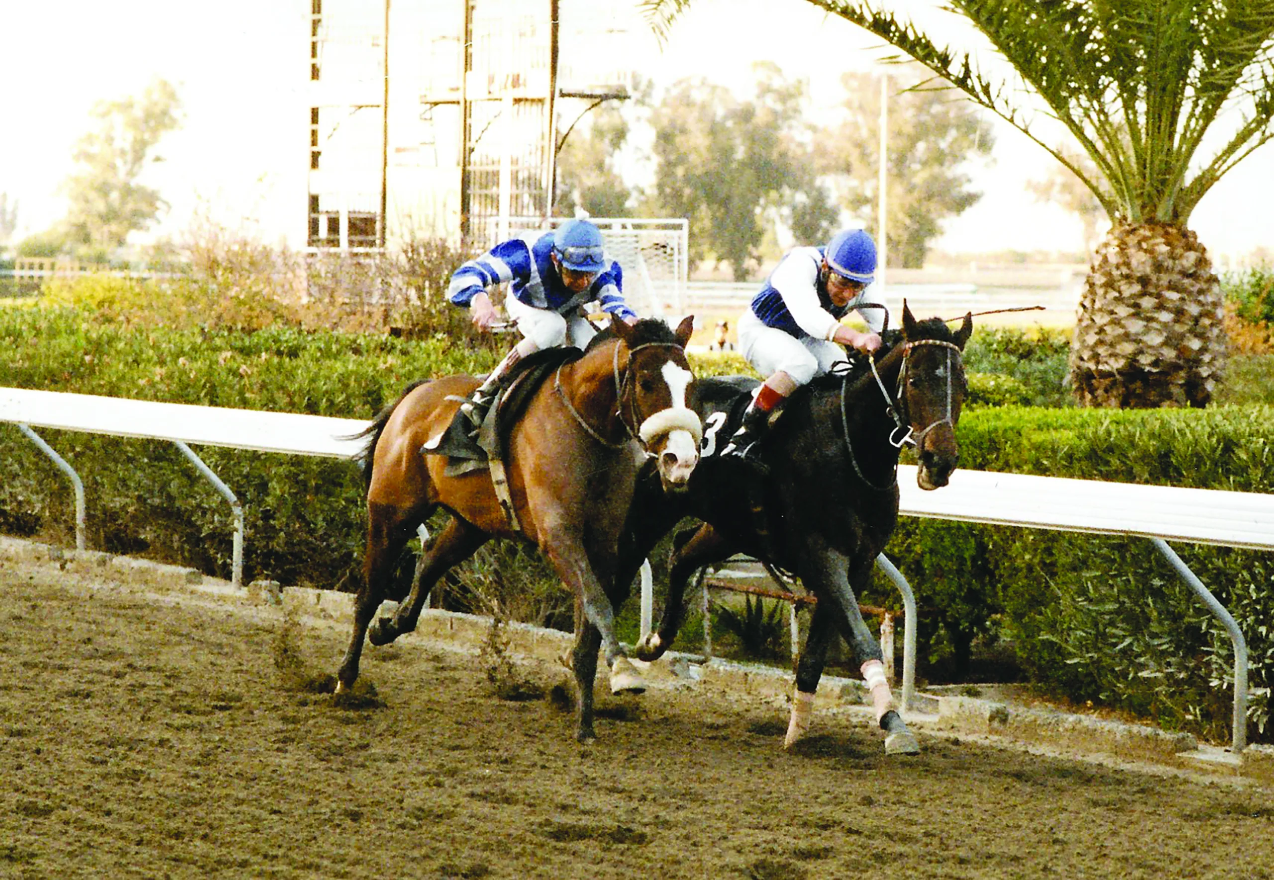 ΙΠΠΟΔΡΟΜΟΣ ΚΥΠΡΟΣ / IPPODROMOS KYPROS