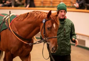 ΙΠΠΟΔΡΟΜΟΣ ΚΥΠΡΟΣ / IPPODROMOS KYPROS