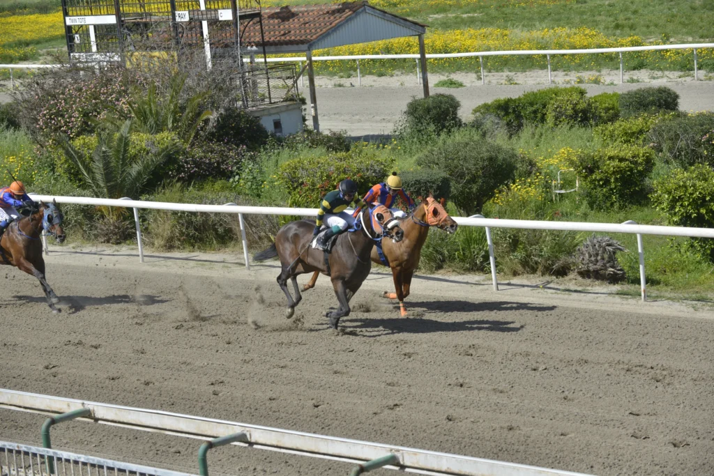 ΙΠΠΟΔΡΟΜΟΣ ΚΥΠΡΟΣ / IPPODROMOS KYPROS