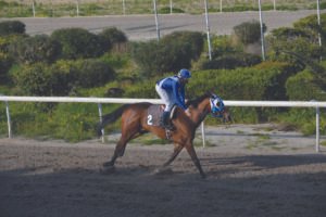 ΙΠΠΟΔΡΟΜΟΣ ΚΥΠΡΟΣ / IPPODROMOS KYPROS ΕΠΑΘΛΟ ΚΥΘΡΕΑΣ ΚΟΠΕΝΧΑΓΗ - 04/03/2026