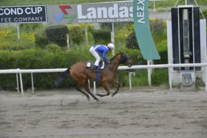 ΙΠΠΟΔΡΟΜΟΣ ΚΥΠΡΟΣ / IPPODROMOS KYPROS ΜΑΓΙΟΡΚΑ - 25/03/2026