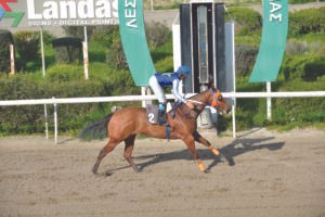 ΙΠΠΟΔΡΟΜΟΣ ΚΥΠΡΟΣ / IPPODROMOS KYPROS ΣΤΕΛΛΑΣ ΦΕΪΒΟΡΙΤ - 01/03/2026