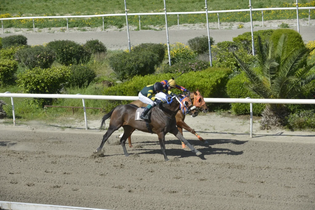 ΙΠΠΟΔΡΟΜΟΣ ΚΥΠΡΟΣ / IPPODROMOS KYPROS ΔΙΚΕΦΑΛΟΣ - 29/03/2026