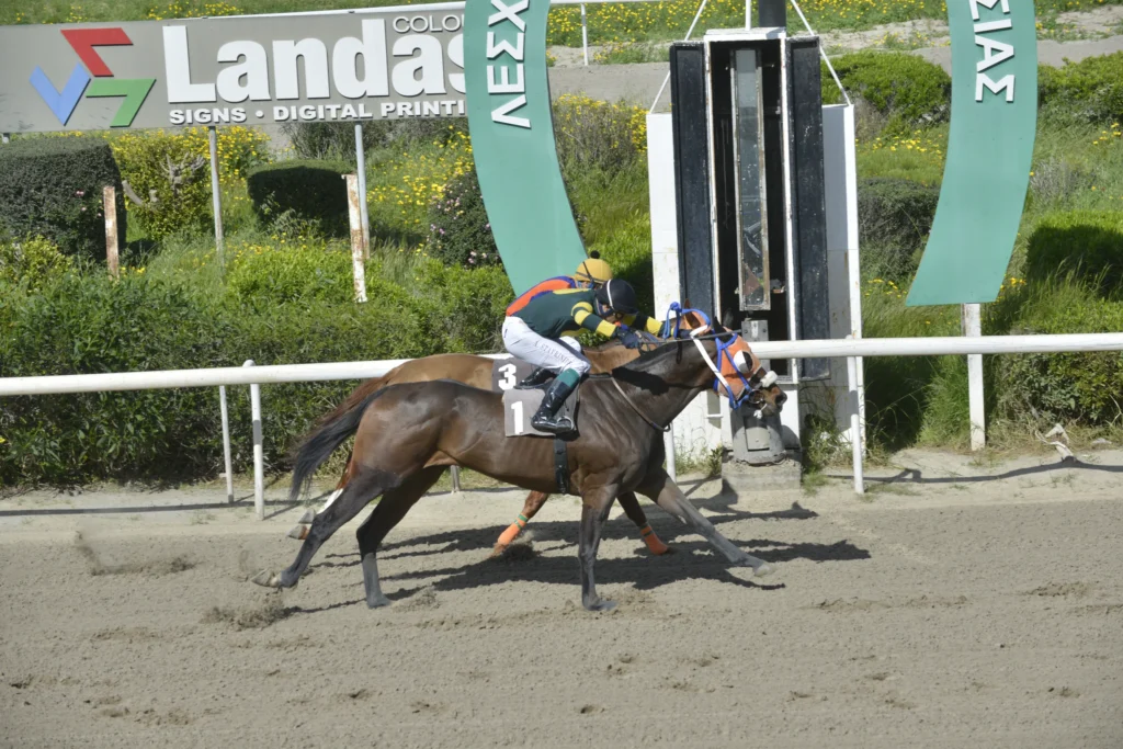 ΙΠΠΟΔΡΟΜΟΣ ΚΥΠΡΟΣ / IPPODROMOS KYPROS ΔΙΚΕΦΑΛΟΣ - 29/03/2026