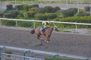 ΙΠΠΟΔΡΟΜΟΣ ΚΥΠΡΟΣ / IPPODROMOS KYPROS ΑΡΚΑΝΤΙΑΝ - 04/03/2026