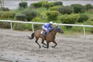 ΙΠΠΟΔΡΟΜΟΣ ΚΥΠΡΟΣ / IPPODROMOS KYPROS ΧΑΡΑΛΑΜΠΗΣ - 22/03/2026