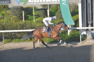 ΙΠΠΟΔΡΟΜΟΣ ΚΥΠΡΟΣ / IPPODROMOS KYPROS ΤΖΟΥΛΙΑΚΙ - 01/03/2026