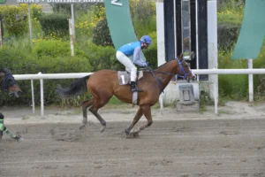 ΙΠΠΟΔΡΟΜΟΣ ΚΥΠΡΟΣ / IPPODROMOS KYPROS ΛΙΖΑΡΝΤ - 26/03/2026