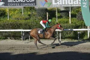 ΙΠΠΟΔΡΟΜΟΣ ΚΥΠΡΟΣ / IPPODROMOS KYPROS ΣΑΝΤΗ ΜΑΓΙΕΤΙΝΑ - 08/03/2026