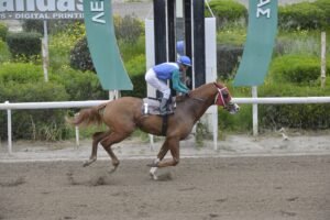 ΙΠΠΟΔΡΟΜΟΣ ΚΥΠΡΟΣ / IPPODROMOS KYPROS ΣΤΑΡΛΙΝΚ - 18/03/2026