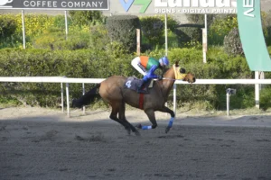 ΙΠΠΟΔΡΟΜΟΣ ΚΥΠΡΟΣ / IPPODROMOS KYPROS ΖΙΓΚΟΥΑΛΑ ΓΚΕΡΛ - 11/03/2026