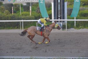 ΙΠΠΟΔΡΟΜΟΣ ΚΥΠΡΟΣ / IPPODROMOS KYPROS ΑΡΚΑΝΤΙΑΝ - 04/03/2026