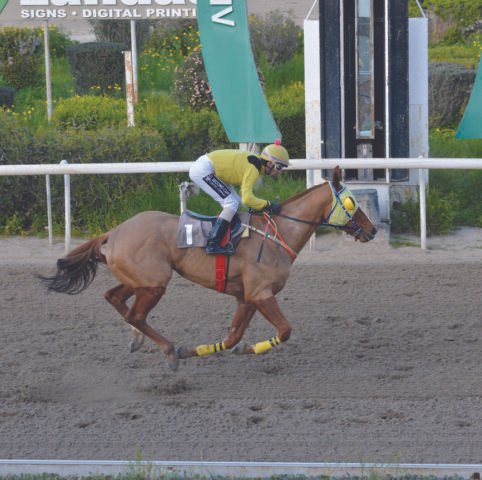 ΙΠΠΟΔΡΟΜΟΣ ΚΥΠΡΟΣ / IPPODROMOS KYPROS ΑΡΚΑΝΤΙΑΝ - 04/03/2026
