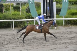 ΙΠΠΟΔΡΟΜΟΣ ΚΥΠΡΟΣ / IPPODROMOS KYPROS ΧΑΡΑΛΑΜΠΗΣ - 22/03/2026