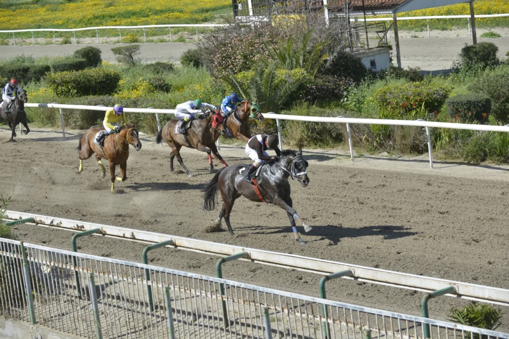 ΙΠΠΟΔΡΟΜΟΣ ΚΥΠΡΟΣ / IPPODROMOS KYPROS ΦΗΑΡΛΕΣ - 29/03/2026