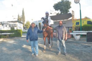 ΙΠΠΟΔΡΟΜΟΣ ΚΥΠΡΟΣ / IPPODROMOS KYPROS ΤΖΟΥΛΙΑΚΙ - 01/03/2026