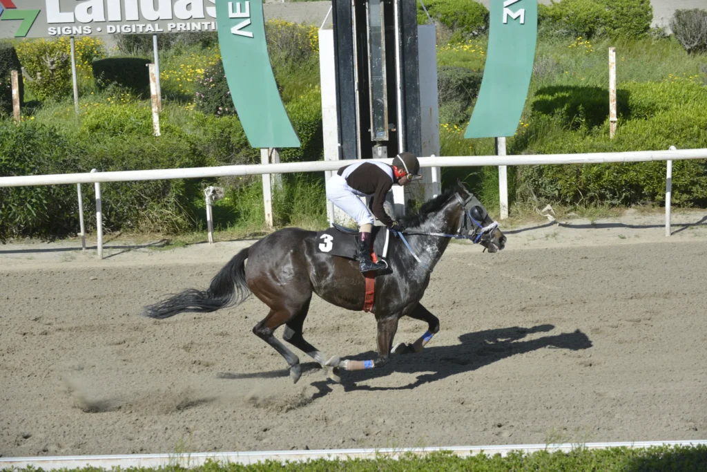 ΙΠΠΟΔΡΟΜΟΣ ΚΥΠΡΟΣ / IPPODROMOS KYPROS ΦΗΑΡΛΕΣ - 29/03/2026
