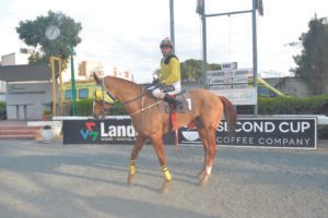 ΙΠΠΟΔΡΟΜΟΣ ΚΥΠΡΟΣ / IPPODROMOS KYPROS ΑΡΚΑΝΤΙΑΝ - 04/03/2026