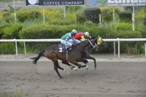 ΙΠΠΟΔΡΟΜΟΣ ΚΥΠΡΟΣ / IPPODROMOS KYPROS ΦΙΛΟΤΙΜΟΣ - 25/03/2026