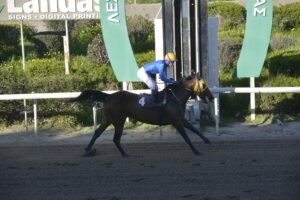 ΙΠΠΟΔΡΟΜΟΣ ΚΥΠΡΟΣ / IPPODROMOS KYPROS ΙΠΠΗΓΕΤΙΣΑ - 08/03/2026