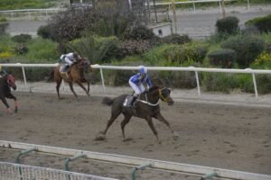 ΙΠΠΟΔΡΟΜΟΣ ΚΥΠΡΟΣ / IPPODROMOS KYPROS ΣΑΝ ΧΟΖΕ - 18/03/2026