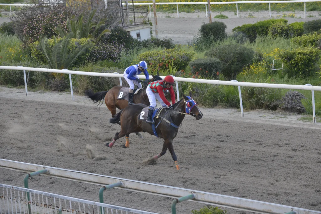 ΙΠΠΟΔΡΟΜΟΣ ΚΥΠΡΟΣ / IPPODROMOS KYPROS