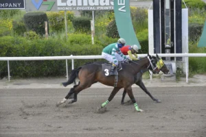 ΙΠΠΟΔΡΟΜΟΣ ΚΥΠΡΟΣ / IPPODROMOS KYPROS