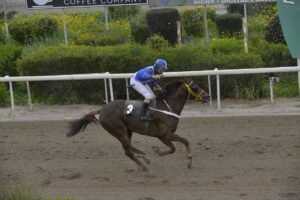 ΙΠΠΟΔΡΟΜΟΣ ΚΥΠΡΟΣ / IPPODROMOS KYPROS