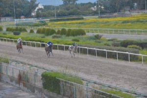 ΙΠΠΟΔΡΟΜΟΣ ΚΥΠΡΟΣ / IPPODROMOS KYPROS  ΚΥΠΕΛΛΟ ΜΑΡΑΘΩΝΟΣ - ΣΕΡ ΛΑΚΑΡΟΣ - 26/03/2026