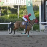 ΙΠΠΟΔΡΟΜΟΣ ΚΥΠΡΟΣ / IPPODROMOS KYPROS ΤΟΠ ΛΙΛΙΠΟΥΤ - 11/03/2026