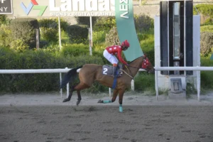 ΙΠΠΟΔΡΟΜΟΣ ΚΥΠΡΟΣ / IPPODROMOS KYPROS ΤΟΠ ΛΙΛΙΠΟΥΤ - 11/03/2026