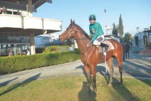 ΙΠΠΟΔΡΟΜΟΣ ΚΥΠΡΟΣ / IPPODROMOS KYPROS ΧΑΒΑΗ ΜΠΟΣ - 01/03/2026