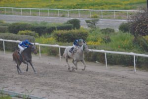 ΙΠΠΟΔΡΟΜΟΣ ΚΥΠΡΟΣ / IPPODROMOS KYPROS  ΚΥΠΕΛΛΟ ΜΑΡΑΘΩΝΟΣ - ΣΕΡ ΛΑΚΑΡΟΣ - 26/03/2026