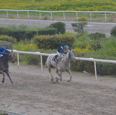 ΙΠΠΟΔΡΟΜΟΣ ΚΥΠΡΟΣ / IPPODROMOS KYPROS  ΚΥΠΕΛΛΟ ΜΑΡΑΘΩΝΟΣ - ΣΕΡ ΛΑΚΑΡΟΣ - 26/03/2026