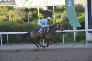 ΙΠΠΟΔΡΟΜΟΣ ΚΥΠΡΟΣ / IPPODROMOS KYPROS ΚΑΘΗΓΗΤΡΙΑ - 08/03/2026