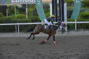 ΙΠΠΟΔΡΟΜΟΣ ΚΥΠΡΟΣ / IPPODROMOS KYPROS ΜΑΝΤΑΜ - 11/03/2026