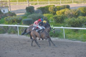 ΙΠΠΟΔΡΟΜΟΣ ΚΥΠΡΟΣ / IPPODROMOS KYPROS ΜΙΚΡΟΣ ΛΟΪΖΟΣ - 01/03/2026