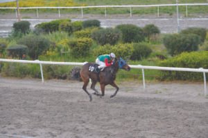 ΙΠΠΟΔΡΟΜΟΣ ΚΥΠΡΟΣ / IPPODROMOS KYPROS ΜΙΛΒΑΣ ΓΟΥΙΖΝΤΟΜ - 26/03/2026