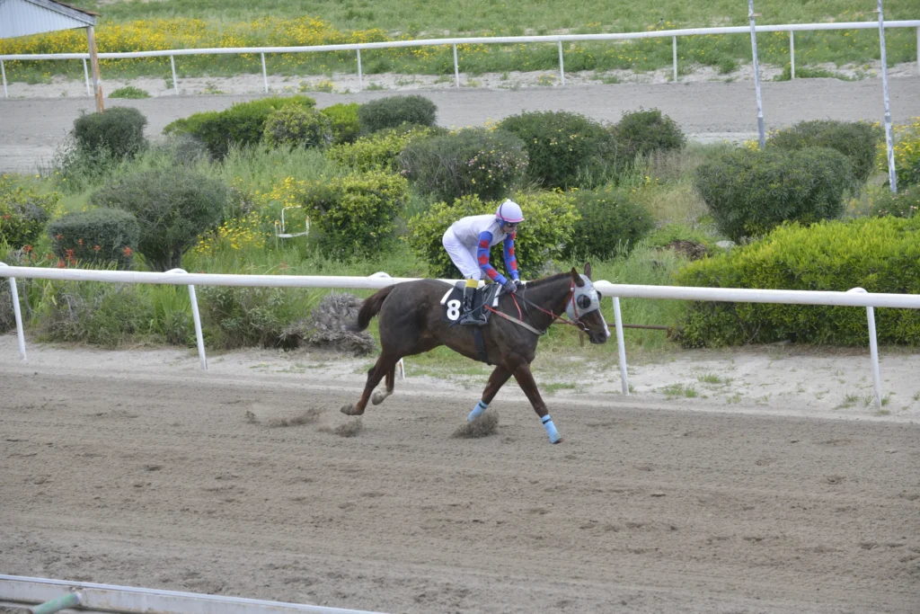 ΙΠΠΟΔΡΟΜΟΣ ΚΥΠΡΟΣ / IPPODROMOS KYPROS ΜΠΕΛ ΑΜΙ - 29/03/2026