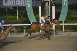 ΙΠΠΟΔΡΟΜΟΣ ΚΥΠΡΟΣ / IPPODROMOS KYPROS ΡΑΜΣΗΣ - 18/03/2026