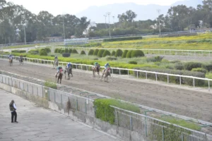 ΙΠΠΟΔΡΟΜΟΣ ΚΥΠΡΟΣ / IPPODROMOS KYPROS ΣΤΑΡΛΙΝΓΚ - ΚΥΠΕΛΛΟ 25ΗΣ ΜΑΡΤΙΟΥ - 25/03/2026