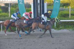 ΙΠΠΟΔΡΟΜΟΣ ΚΥΠΡΟΣ / IPPODROMOS KYPROS ΜΙΚΡΟΣ ΛΟΪΖΟΣ - 01/03/2026