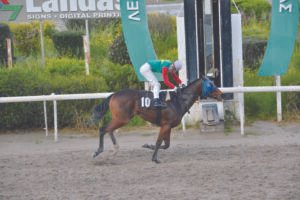 ΙΠΠΟΔΡΟΜΟΣ ΚΥΠΡΟΣ / IPPODROMOS KYPROS ΜΙΛΒΑΣ ΓΟΥΙΖΝΤΟΜ - 26/03/2026