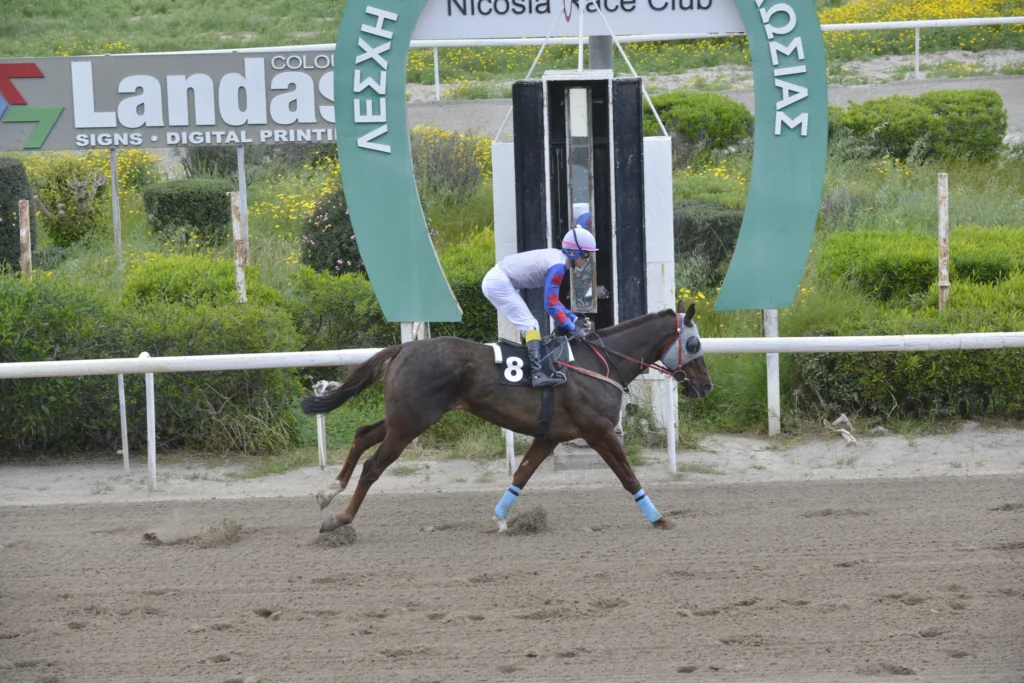 ΙΠΠΟΔΡΟΜΟΣ ΚΥΠΡΟΣ / IPPODROMOS KYPROS ΜΠΕΛ ΑΜΙ - 29/03/2026